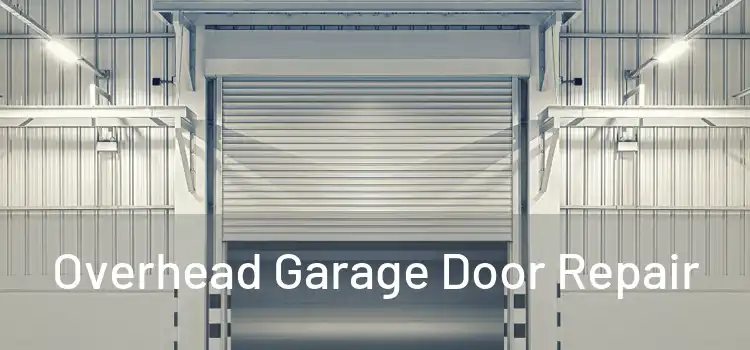 Overhead Garage Door Repair
